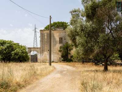 Ma ecco oltre gli alberi apparire di fronte a noi un�antica e imponente masseria